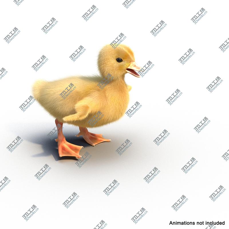 images/goods_img/202104091/Duckling Rigged/4.jpg